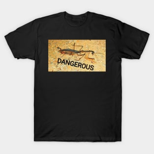 DANGEROUS, sanjay, mochi, cool, amazing, perfect, omg, T-Shirt